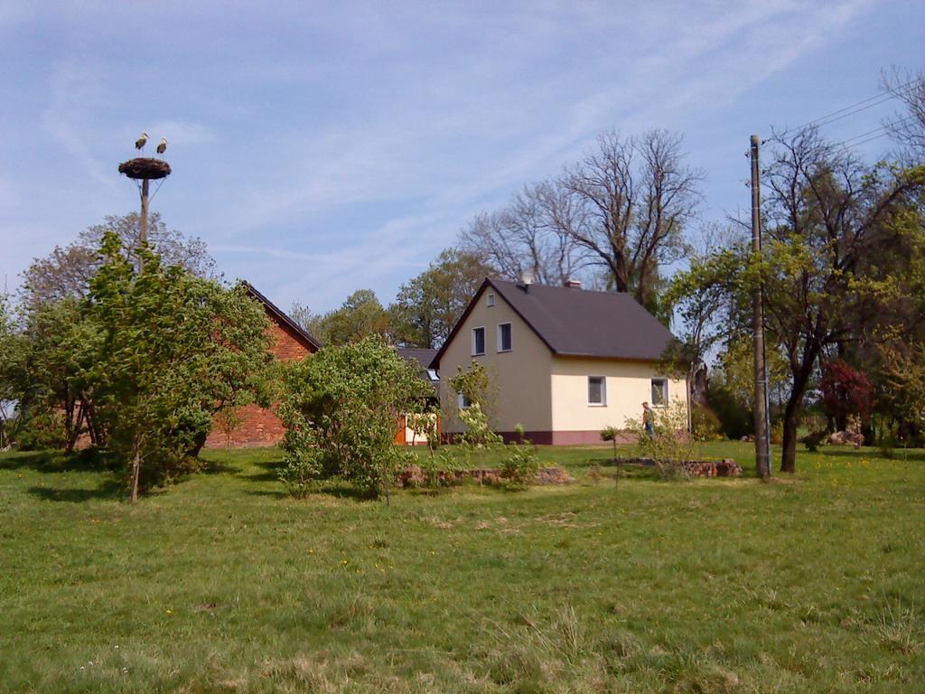 Ferienwohnung Am Storchennest Schmogrow Exterior photo